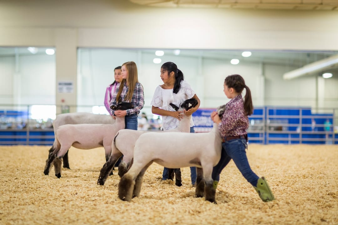 Cabarrus County Fair